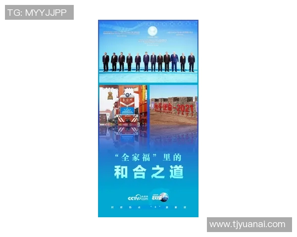 攀岩精神：探讨上海攀岩队的团队协作与默契之道